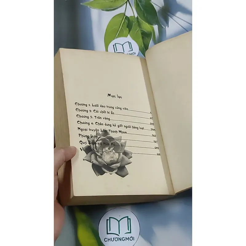 Nếu ốc sên có tình yêu - Đinh Mặc 688711