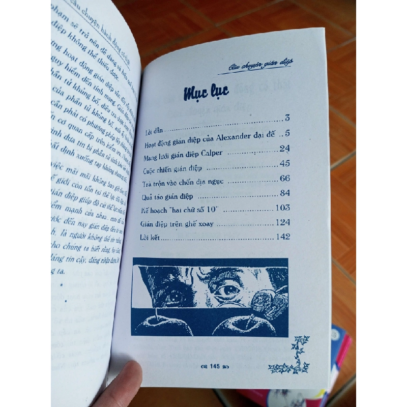 Câu chuyện gián điệp - Nham Tùng 2010 VAVO-AK18 969620