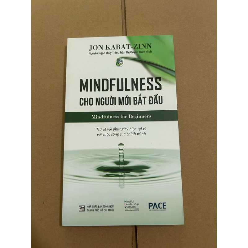 Mindfulness cho người mới bắt đầu 477697