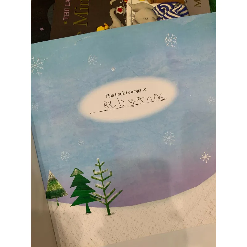 The Polar Bear Who Saved Christmas – Fiona Boon 559689