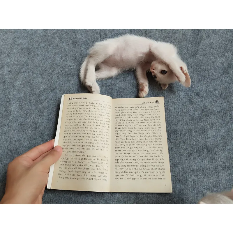 MƯA BÓNG MÂY - KHÁNH CHI 567812