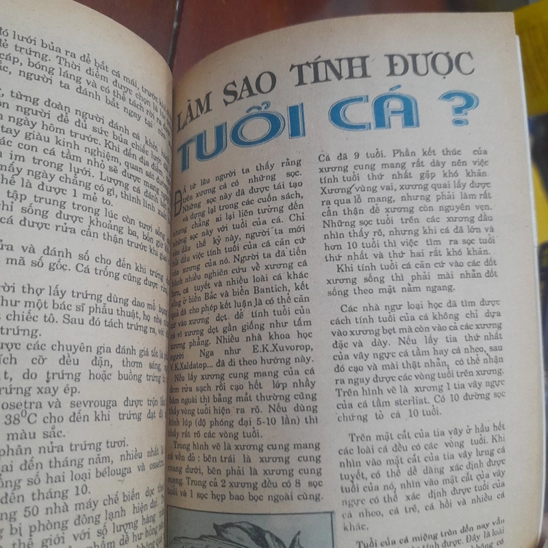 Kiến thức bách khoa thanh niên - BIỂN và HẢI TẶC 505498
