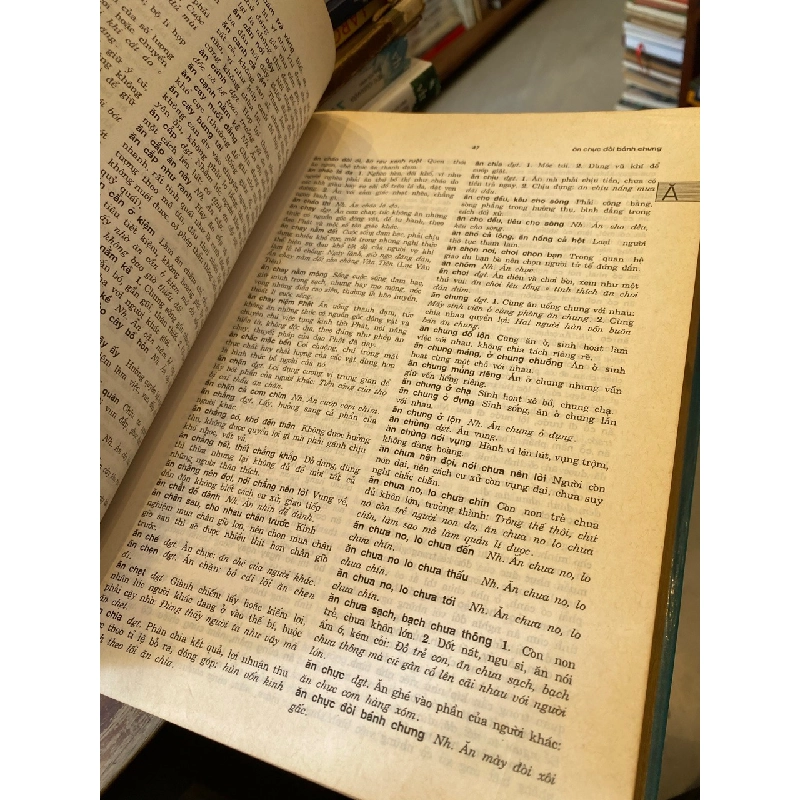 Đại từ điển tiếng việt - Nguyễn Như Ý chủ biên 127386