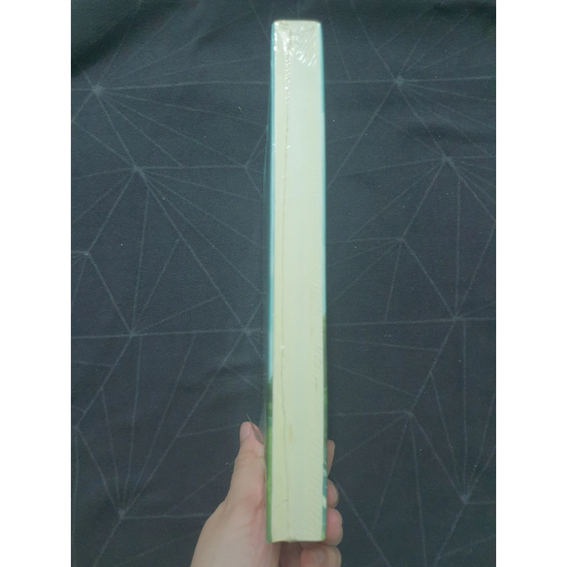 "Tiểu Nam Phong" - Cửu Nguyệt Hi 497219