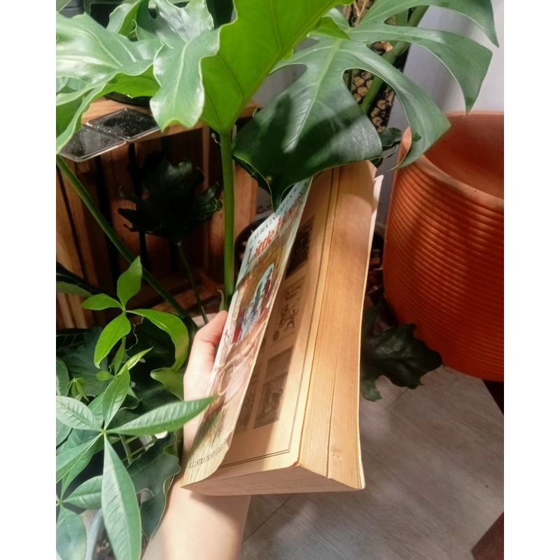 LITTLE HOUSE ON THE PRAIRIE - Laura Ingalls Wilder (có tranh minh họa) 478169