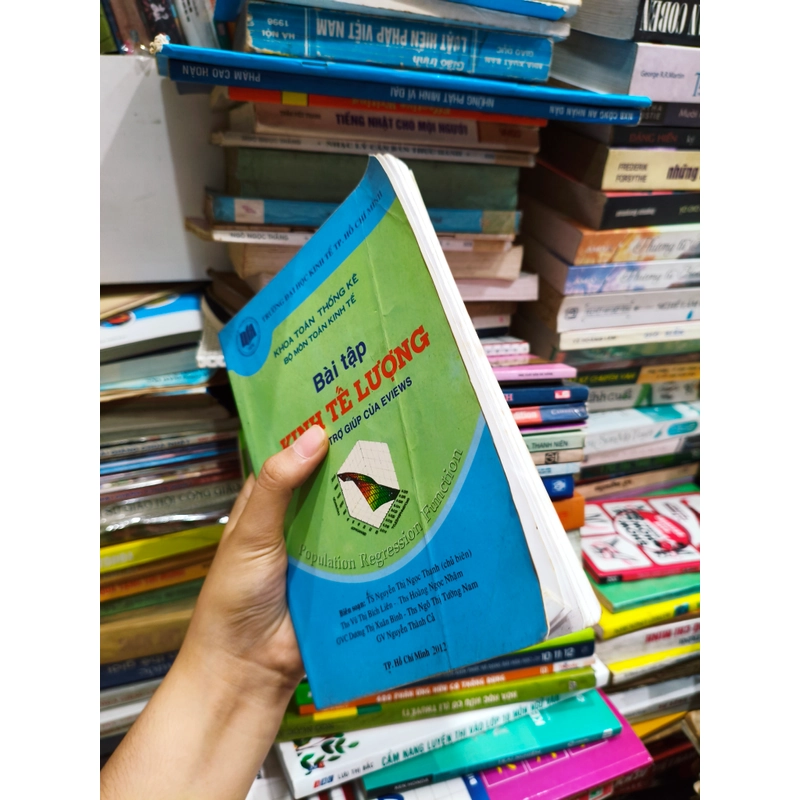 Bài tập Kinh tế lượng 🌱 522018