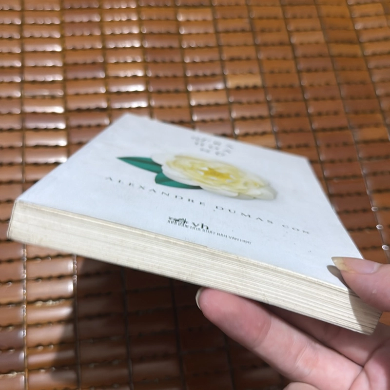 Trà hoa nữ - Alexandre Dumas 531142
