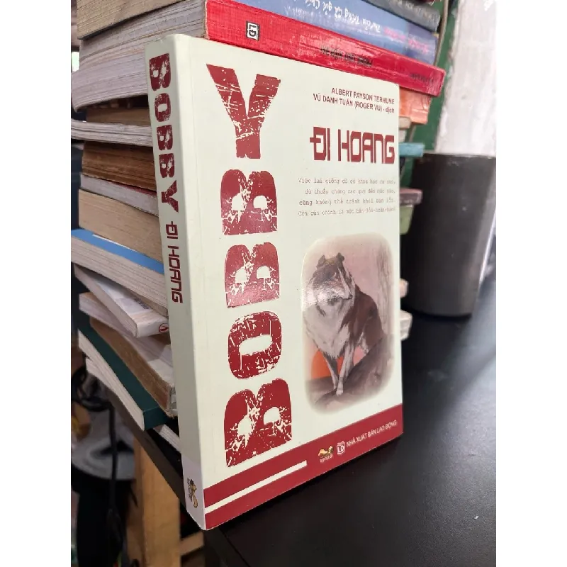 Bobby đi hoang - Albert Payson Terhune 574700