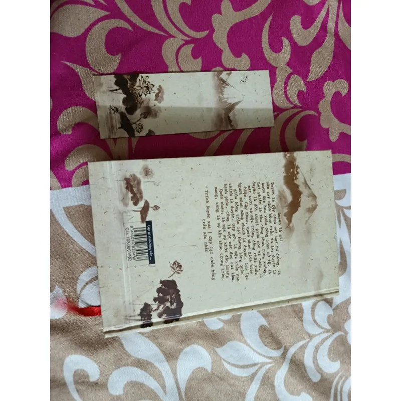 Gặp lại chốn hồng trần sâu nhất - Bạch Lạc Mai ( bìa cứng ) 991216