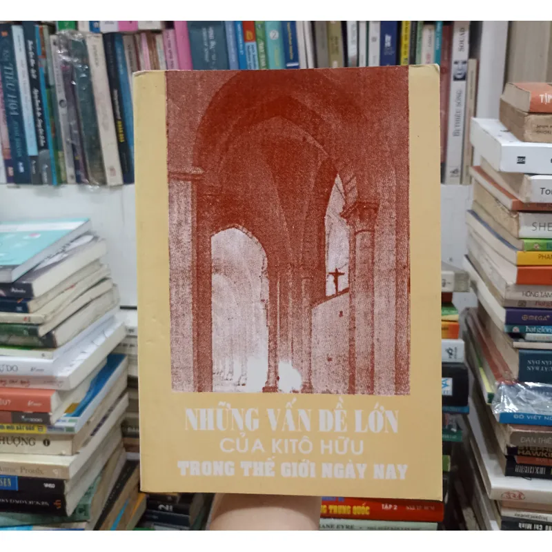 Những vấn đề lớn của Kitô Hữu trong thế giới ngày nay 🌻 559178
