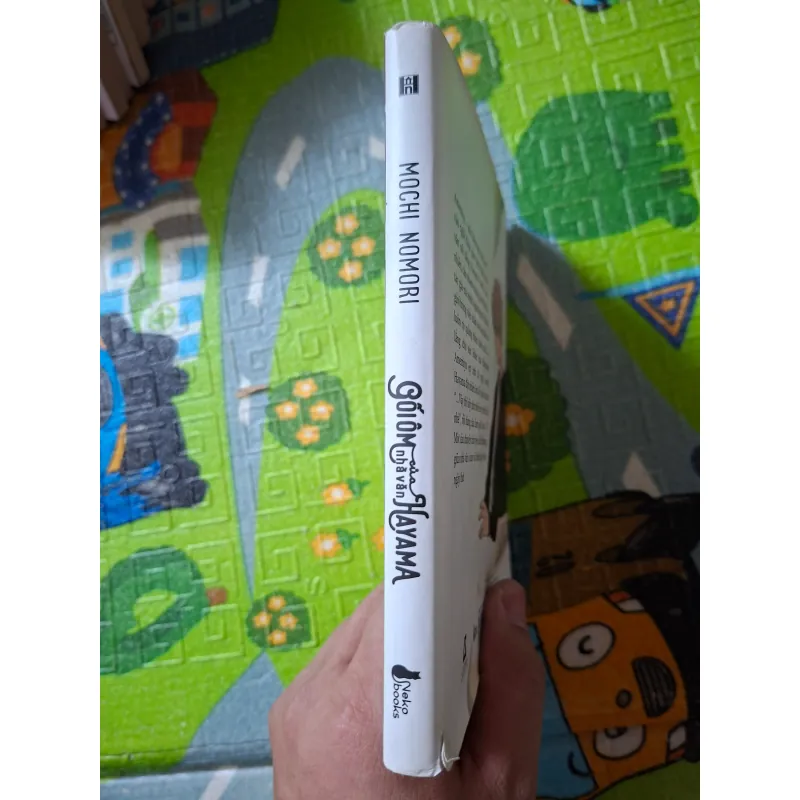 Gối Ôm Của Nhà Văn Hayama 1022883