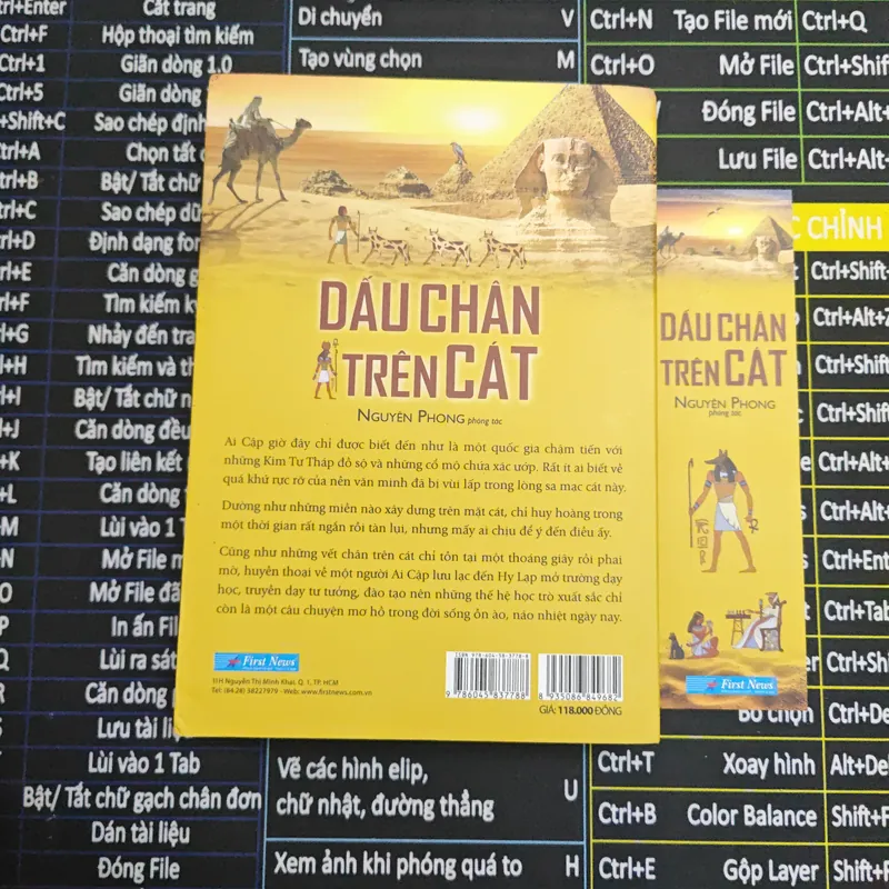 Dấu Chân Trên Cát - Nguyên Phong 703799