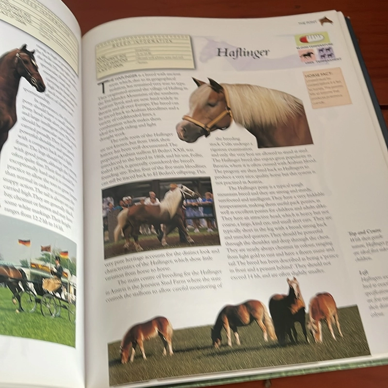 PICTURE BOOK The encyclopedia of horses & ponies 536946