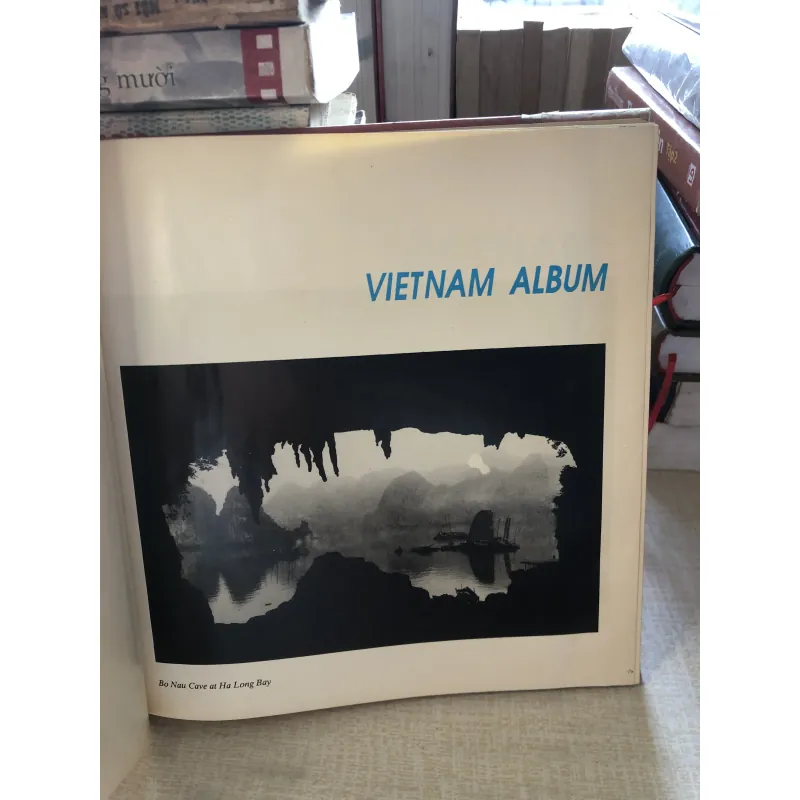 Album Việt Nam 992458