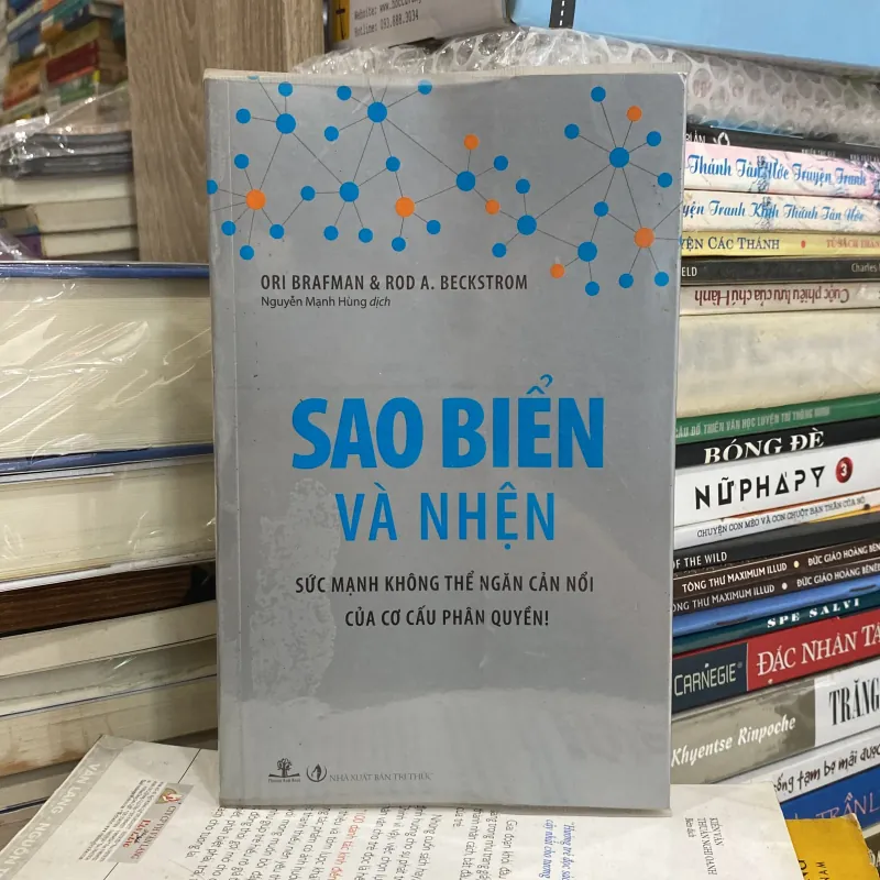 Sao Biển Và Nhện♟️ 750115