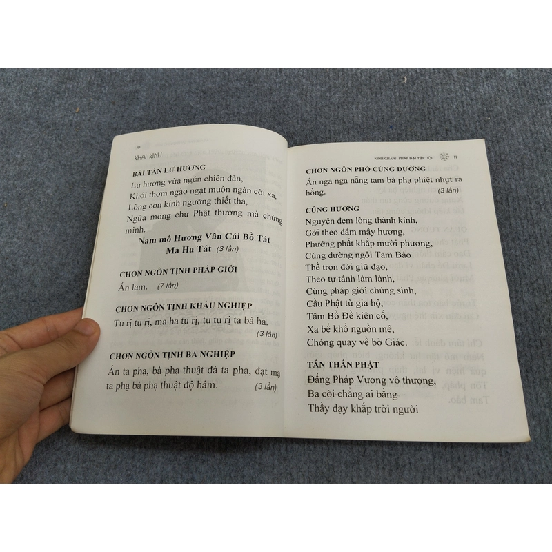 KINH CHÁNH PHÁP SANGHATA 494734