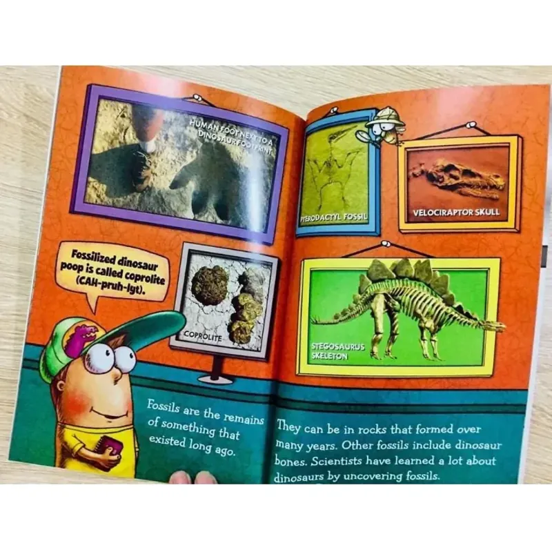 Sách nhập - Fly Guy Presents Level 2 - 15 cuốn, Fly guy khoa học full màu đẹp 1001306