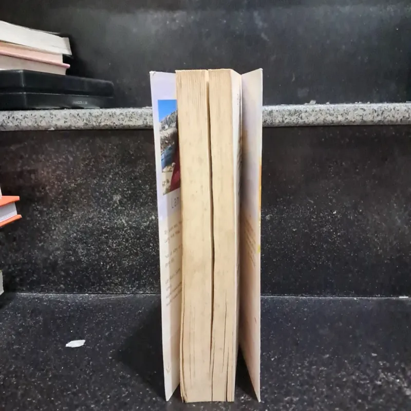 Em là nhà- Lan Rùa 1006788