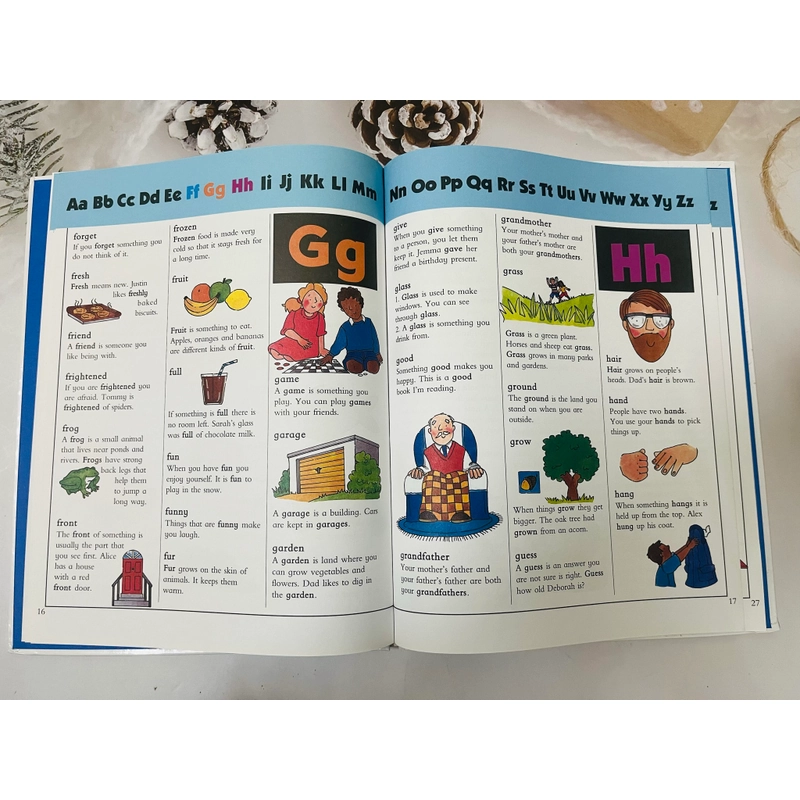 Young Learner’s First Dictionary 545228