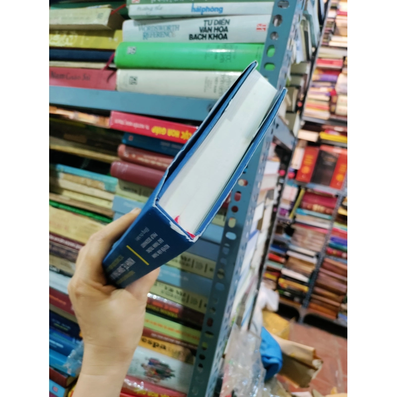 Triển vọng về chuyển đổi kinh tế, sinh thái và xã hội 464210