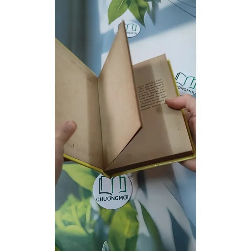 [MIỄN PHÍ BỌC SÁCH] La Petite Fadette - George Sand 749583