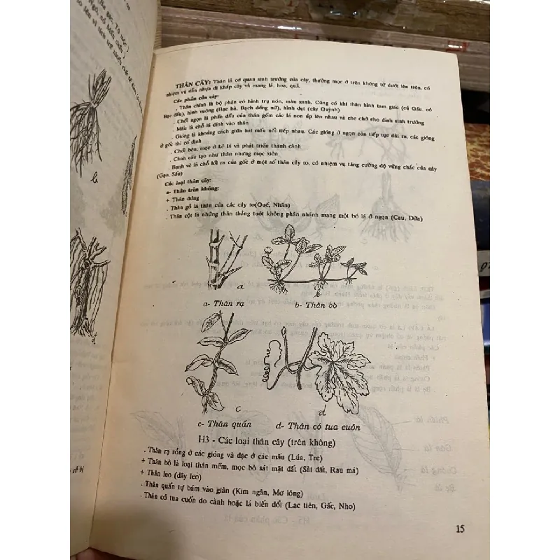 Danh từ Dược học Đông y - Lê Quý Ngưu, Trần Thị Như Đức 718384