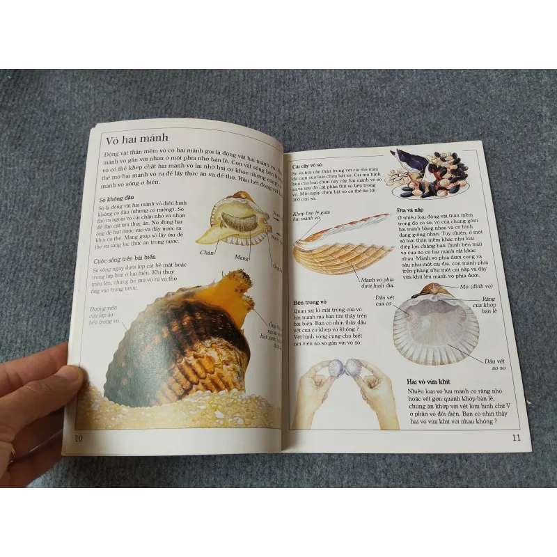 ÁO GIÁP ĐỘNG VẬT 720729