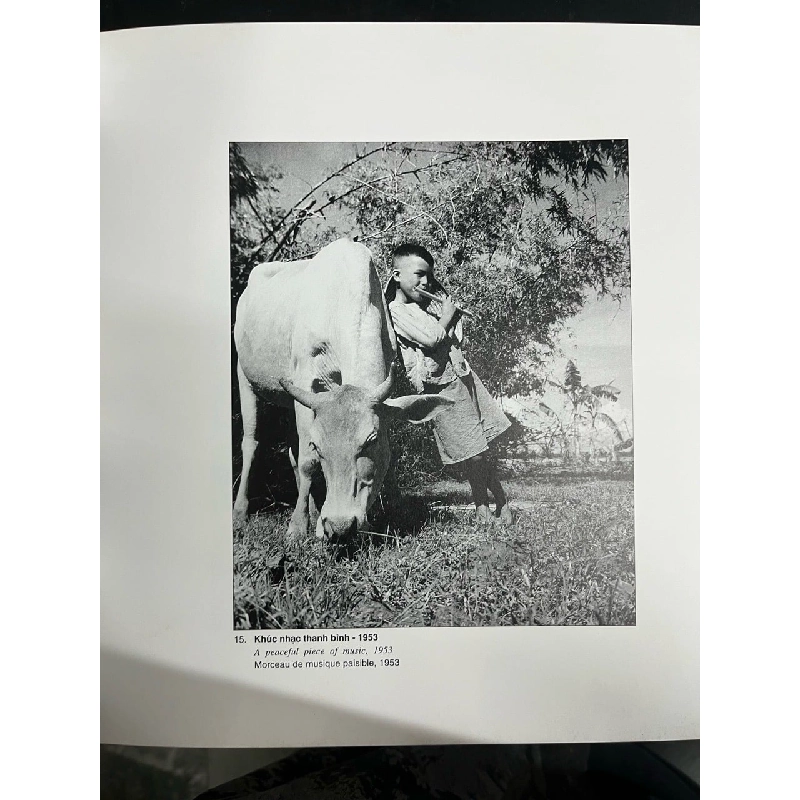 Việt Nam trong trái tim tôi - Hữu Cấy 731197