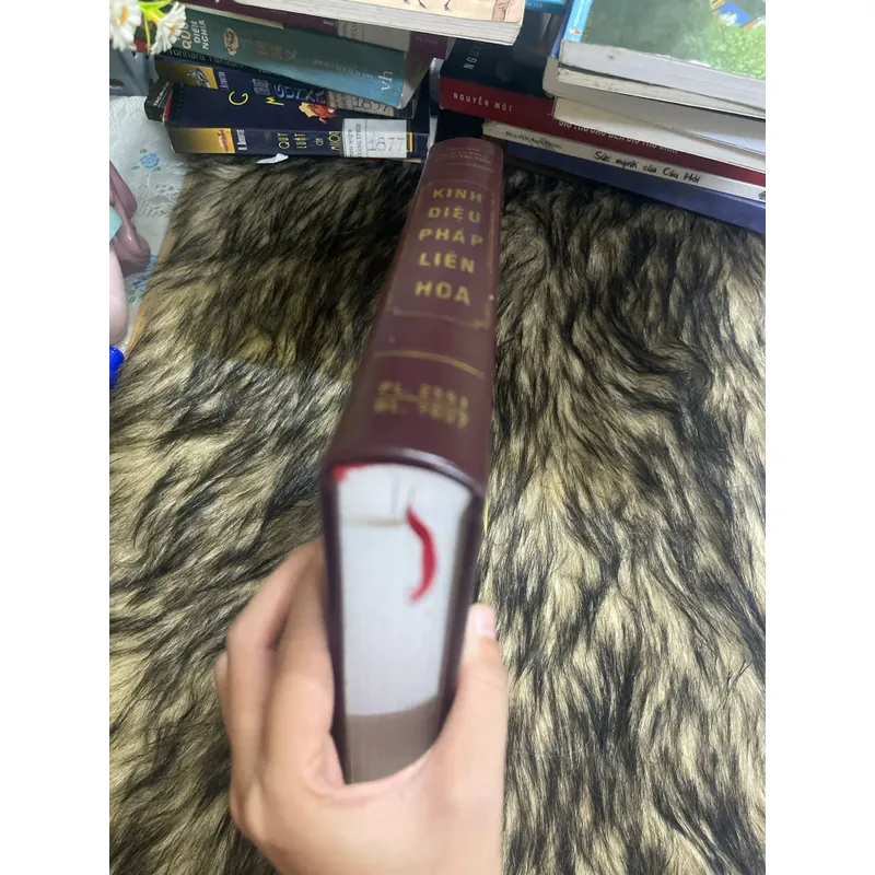 Kinh diệu pháp Liên Hoa 598538