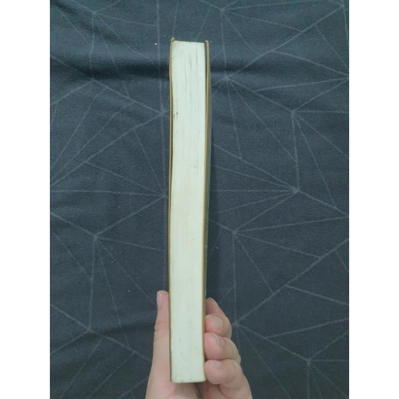 "Thiếu nữ đeo hoa tai ngọc trai" - Tracy Chevalie 538919