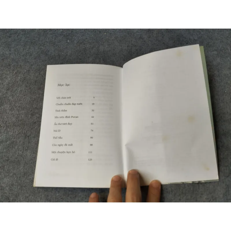 GIÓ LẺ VÀ 9 CÂU CHUYỆN KHÁC - NGUYỄN NGỌC TƯ 719936