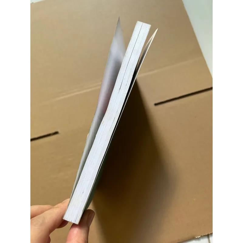 Bộ luật hình sự năm 1999 608239