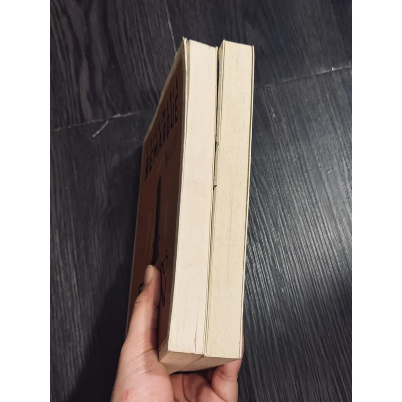 Combo 2 cuốn E.M.Remarque 597837