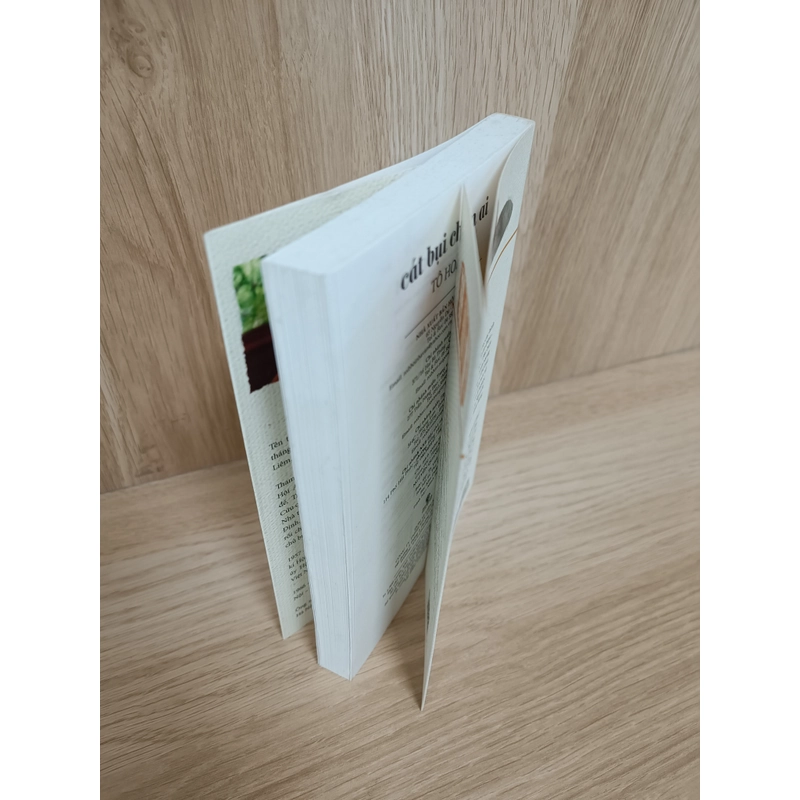 Cát bụi chân ai 459909