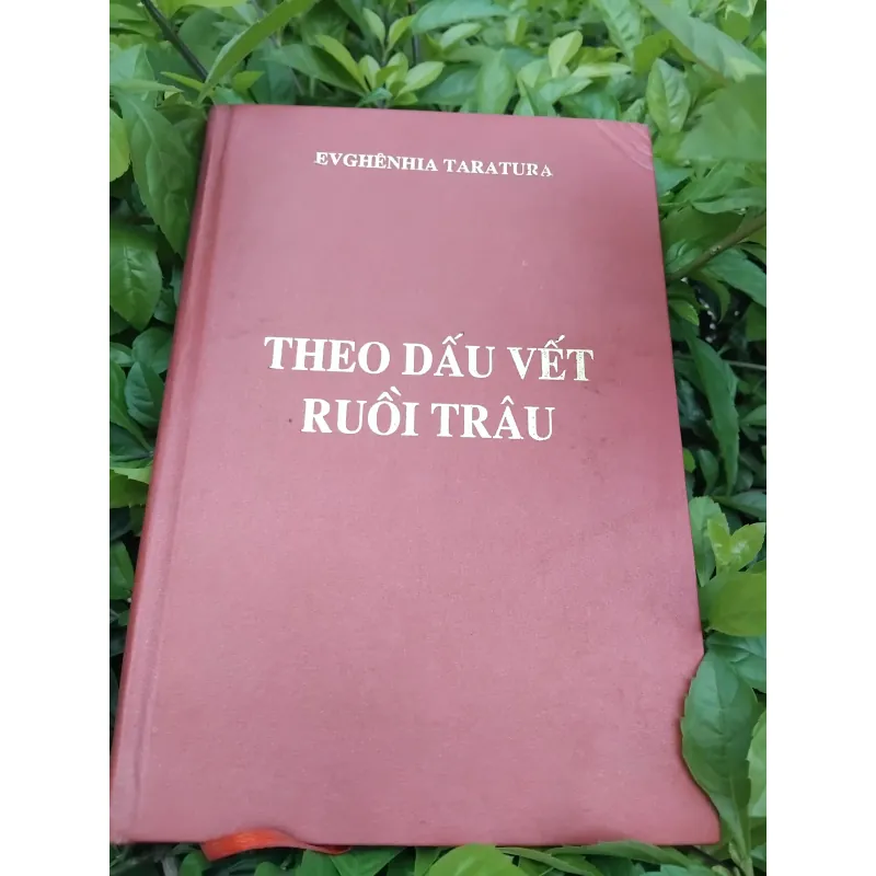 Lần theo dấu vết Ruồi Trâu của Evghenia Taratura 974271