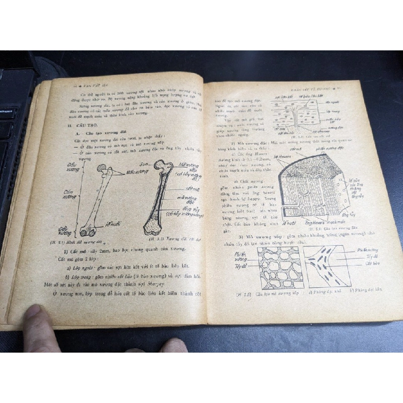 Vạn Vật giáo khoa trắc nghiệm 12A - Nhóm Khoa Học Thiên Nhiên 396027