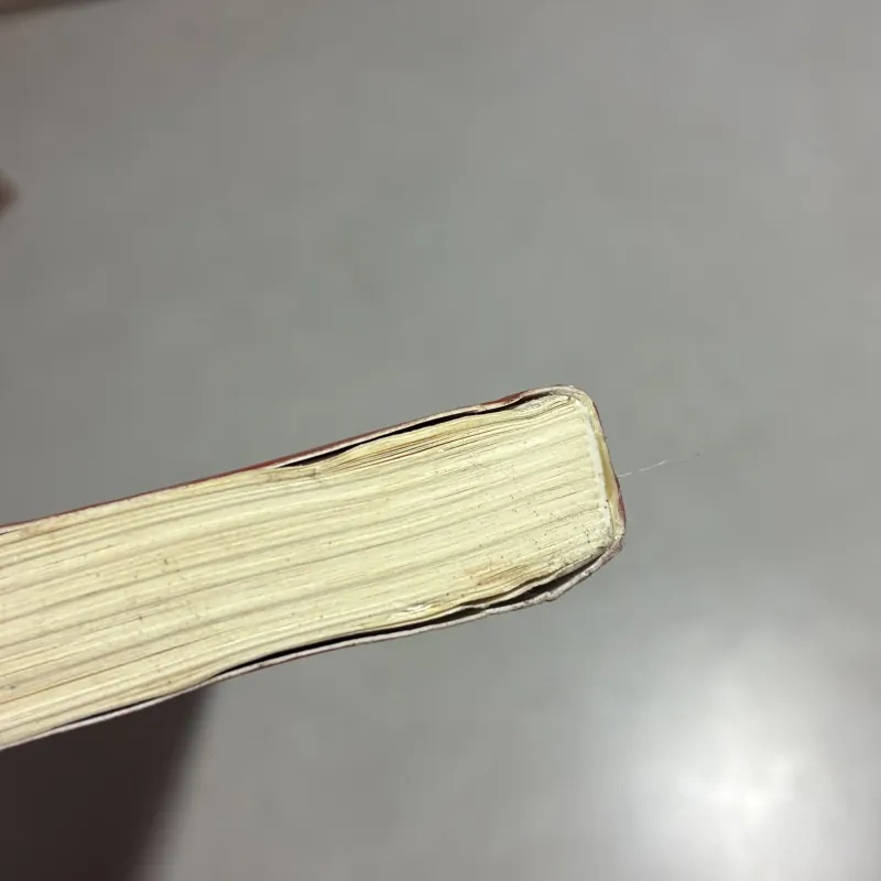 Cây cam ngọt của tôi (Có ẩm) 783124