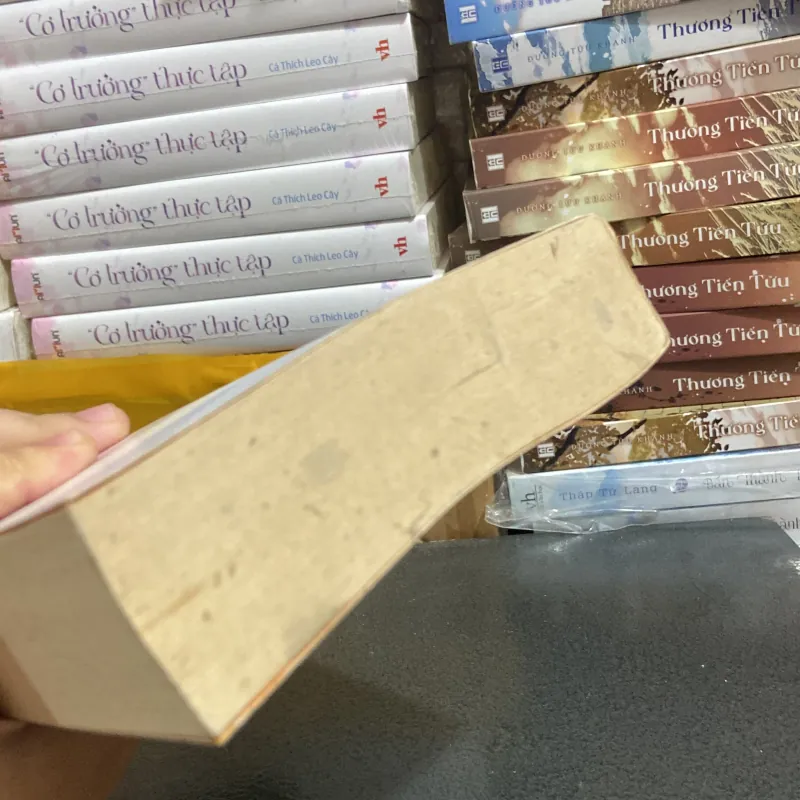 (Ngoại văn) - Loving Frank - Nancy Horan 976020