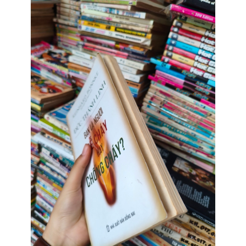 Bạn là người dễ cháy hay chống cháy 🌱 539146