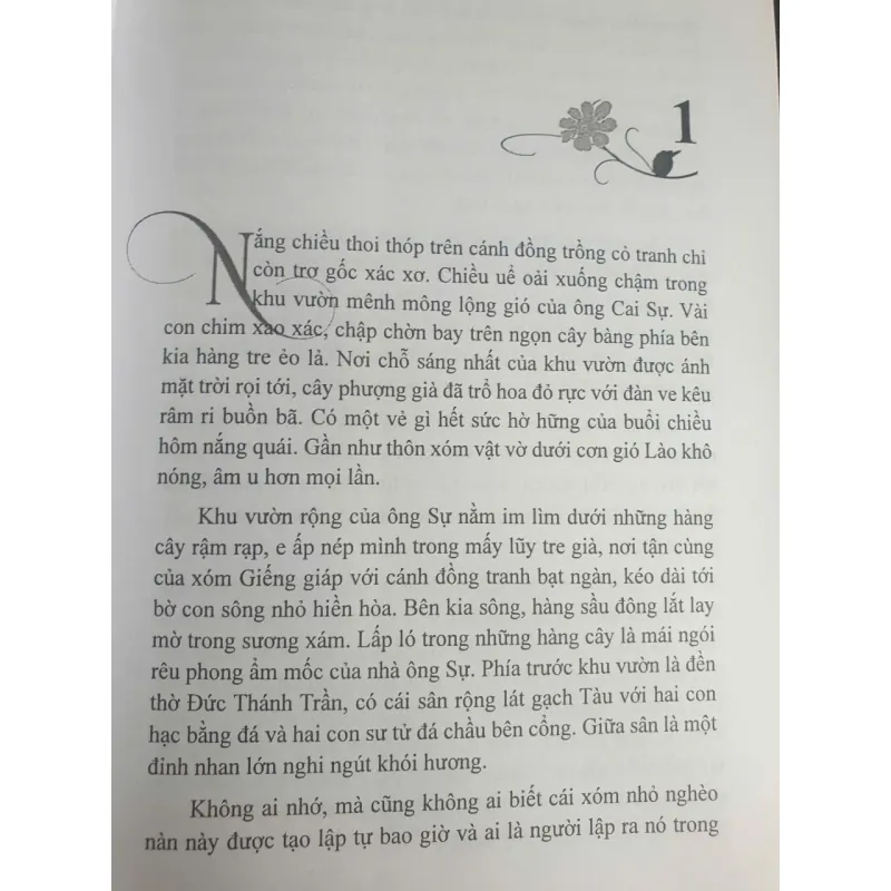 Sương Rơi Ngoài Vườn 718847