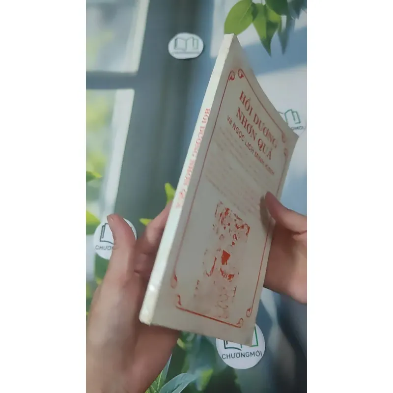 Hồi Dương Nhơn Quả 1018902