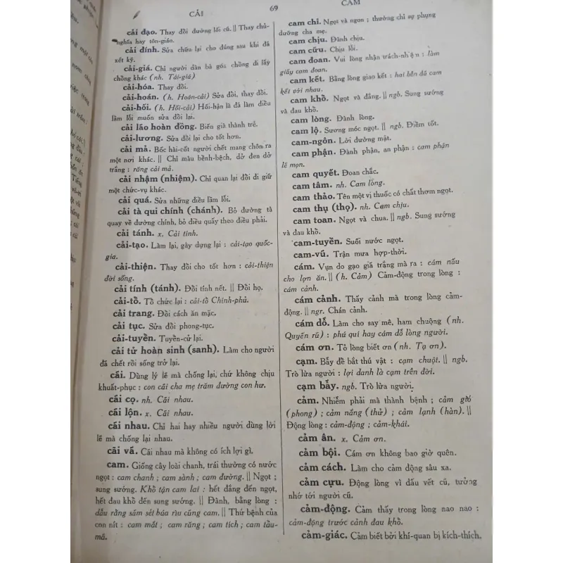 TỰ ĐIỂN VIỆT NAM PHỔ THÔNG - ĐÀO VĂN TẬP 729813