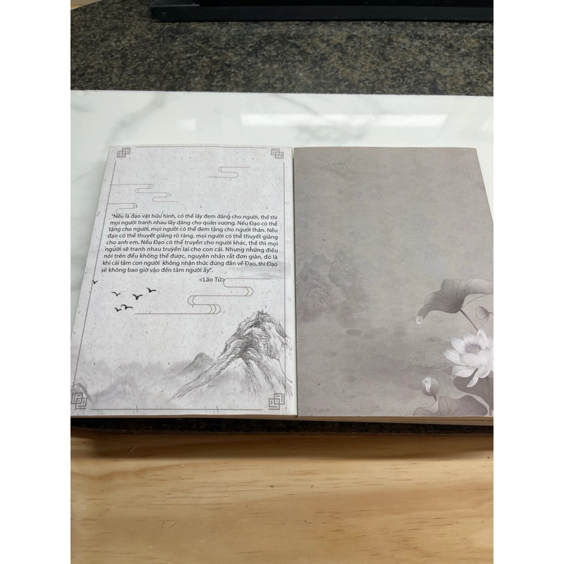 Nhậm chi đường biện dược, Nhậm chi đường y kinh tâm ngộ ký Mặc Thuỷ 552515