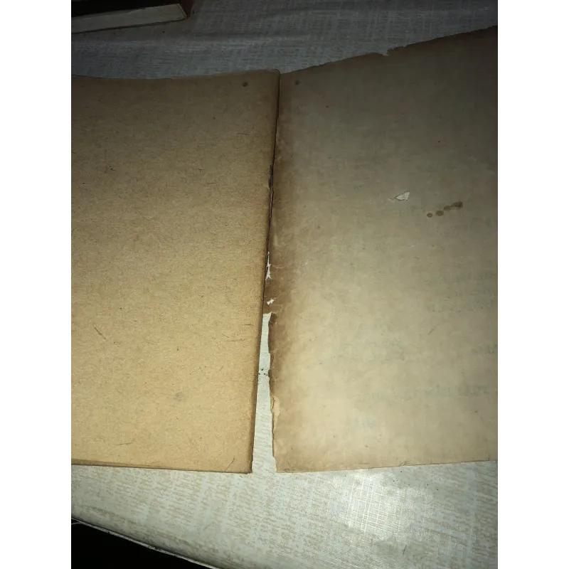 Đoàn Thị Điểm- Chinh Phụ Ngâm diễn ca 995659