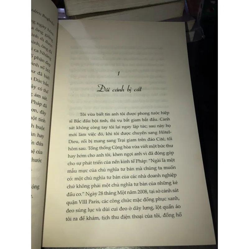 Một tiểu thuyết pháp - Frédéric Beigbeder  1021384