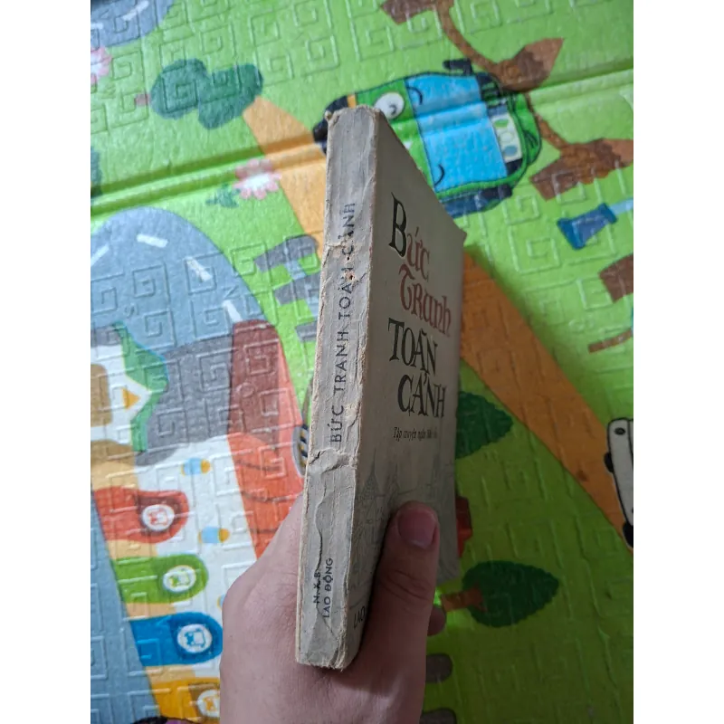 Bức tranh toàn cảnh 1041014
