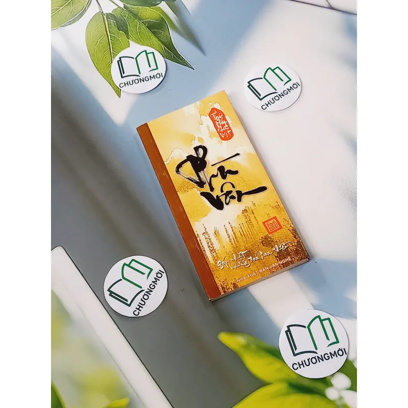 Phù Vân - Thư Pháp - Thanh Sơn 775953