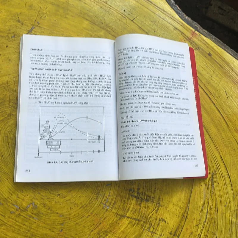 VIÊM GAN VIRUS B, D, C, A, E, GB CƠ BẢN , HIỆN ĐẠI VÀ CẬP NHẬT(2)- GS.VS.BS. PHẠM SONG 590187