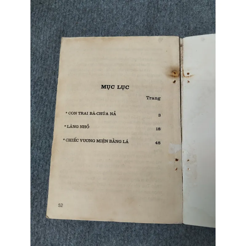 CON TRAI BÀ CHÚA NẢ 720693