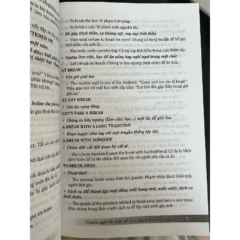 Thành ngữ và một số từ vựng hiểu theo nghĩa bóng - Trương Quang Phú 698875